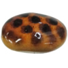 Imitate Animal skins Acrylic Beads, Painted Spray-paint, Nugget 27x17mm Hole:2.5mm, Sold by Bag