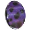 Imitate Animal skins Acrylic Beads, Painted Spray-paint, Flat Oval 35x26mm Hole:1mm, Sold by Bag