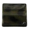 Imitate Animal skins Acrylic Beads, Painted Spray-paint, Square 21mm Sold by Bag