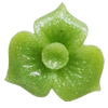Resin Cabochons, No Hole Headwear & Costume Accessory, Flower 18mm, Sold by Bag