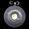 Lampwork Pendant with Metal Alloy Head, Flat Round 49mm Hole:7x4mm, Sold by PC