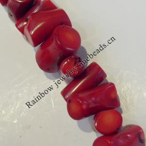 Coral Beads，Column Size:about 10x10mm Hole:0.1mm, Sold by Kg