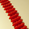 16-Inch Coral Beads, 16mm Hole:0.1mm, Sold by KG