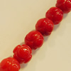 Coral Beads, 6mm Hole:0.1mm, Sold by KG