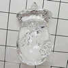 Transparent Acrylic Pendant, 37x21mm Hole:2.5mm, Sold by Bag 