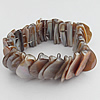 Shell Bracelets, 24mm Length:About 8.2 Inch, Sold by Strand