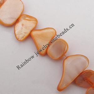 Natural Shell Beads, 6-18mm Hole:About 1mm, Sold by 16-inch Strand