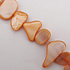 Natural Shell Beads, 6-18mm Hole:About 1mm, Sold by 16-inch Strand