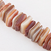 Natural Shell Beads, 8mm Hole:About 1mm, Sold by 16-inch Strand