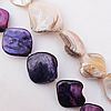 Natural Shell Beads, 16-18mm Hole:About 1mm, Sold by 16-inch Strand