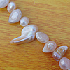 Mother of Pearl Shell Beads,8-18mm,Sold per16-inch strand