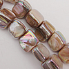 AB Color Shell Beads, 8mm Hole:About 1mm, Sold by 16-inch Strand