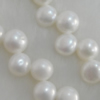 Pearl, cultured freshwater, Button 8x5mm Hole:About 0.1mm，Sold per 16-inch strand.