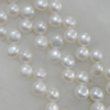 Pearl, cultured freshwater, Button 8x4.5mm Hole:About 0.1mm，Sold per 16-inch strand.