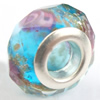 European Style Lampwork Beads, 8x14mm Hole:About 4.5mm, Sold by PC