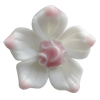 Porcelain Cabochons, No Hole Headwear & Costume Accessory, Flower Size:About 20mm, Sold By Bag