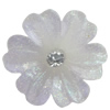 Resin Cabochons, No Hole Headwear & Costume Accessory, Flower, About 20mm in diameter, Sold by Bag