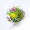 European Style Lampwork Beads With 925 sterling silver Core, 10x14mm Hole:About 5mm, Sold by PC