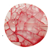 Crackle Acrylic Beads, Frosted Surface Effect ,Flat round ,26x6mm ,Hole:Approx 1mm ,Sold by Bag