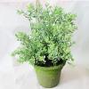 Artificial Plant With Flowerpot, Height:about 11.8 inch, Sold by Dozen