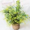 Artificial Plant With Flowerpot, Height:about 13.4 inch, Sold by Dozen