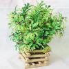Artificial Plant With Flowerpot, Height:about 10.6 inch, Sold by Dozen