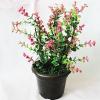 Artificial Plant With Flowerpot, Height:about 11 inch, Sold by Dozen