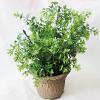 Artificial Plant With Flowerpot, Height:about 11 inch, Sold by Dozen