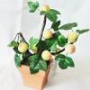 Artificial Plant & Fruit With Flowerpot, Height:about 7.9 inch, Sold by Dozen