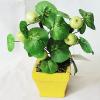 Artificial Plant & Fruit With Flowerpot, Height:about 7.9 inch, Sold by Dozen