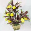 Artificial Plant & Fruit With Flowerpot, Height:about 15 inch, Sold by Box