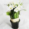 Artificial Flower With Flowerpot, Height:about 11.4 inch, Sold by Dozen