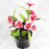 Artificial Flower With Flowerpot, Height:about 9.8 inch, Sold by Dozen