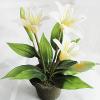 Artificial Flower With Flowerpot, Height:about 13 inch, Sold by Dozen
