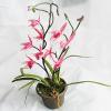 Artificial Flower With Flowerpot, Height:about 16.5 inch, Sold by Box