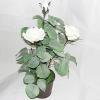 Artificial Flower With Flowerpot, Height:about 17.3 inch, Sold by Box