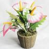 Artificial Flower With Flowerpot, Height:about 7.9 inch, Sold by Dozen