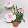 Artificial Flower With Flowerpot, Height:about 9.4 inch, Sold by Dozen