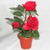 Artificial Flower With Flowerpot, Height:about 9.4 inch, Sold by Dozen