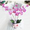 Artificial Flower With Flowerpot, Height:about 23.6 inch, Sold by Box