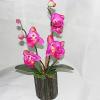 Artificial Flower With Flowerpot, Height:about 12.6 inch, Sold by Dozen