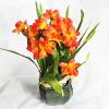 Artificial Flower With Flowerpot, Height:about 11.4 inch, Sold by Dozen