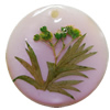 Natural Shell Pendant with Inner Flower, Flat Round, 30mm, Hole:Approx 2mm, Sold by PC