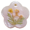 Natural Shell Pendant with Inner Flower, Flower, 30mm, Hole:Approx 2mm, Sold by PC