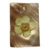 Natural Shell Pendant with Inner Flower, Rectangle, 22x30mm, Hole:Approx 2mm, Sold by PC