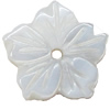 Carved Shell Beads, Flower, 15mm Hole:1mm, Sold by PC