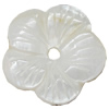 Carved Shell Beads, Flower, 17mm Hole:1mm, Sold by PC