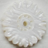 Carved Shell Beads, Flower, 14mm Hole:1mm, Sold by PC