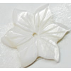 Carved Shell Beads, Flower, 25mm Hole:1mm, Sold by PC