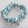 Shell Bracelet, Length Approx:7.1-inch, Sold by Strand